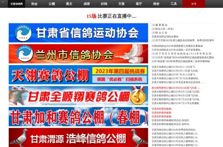 甘肃信鸽网